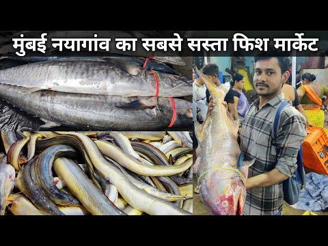 Naigaon Machhi Market | Naigaon Wholesale Fish Market | Mumbai Naigaon Fish Market