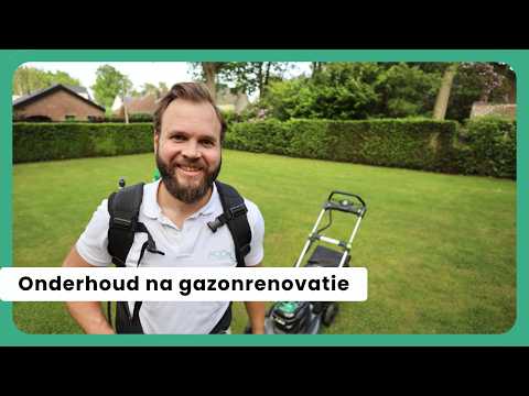 Lawn Maintenance After Renovation