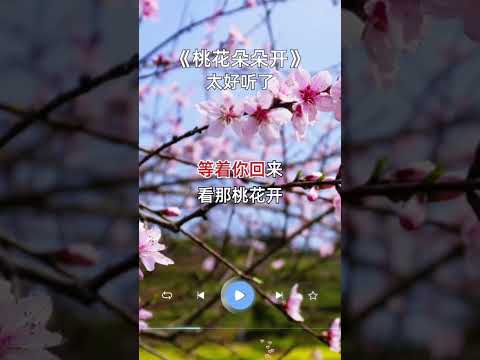 桃花朵朵开 经典老歌 内容启发搜索 好歌推荐 一首好听的歌分享给大家