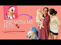 Pet Friendly Stay At Pondicherry ️