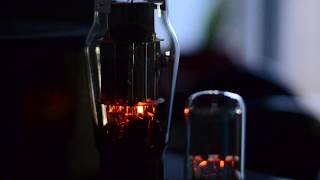 Darkvoice tubes startup blue glow