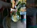 How to propagate a rubber plant | Cutting rubber plant | #shorts #short #viral #rubberplants