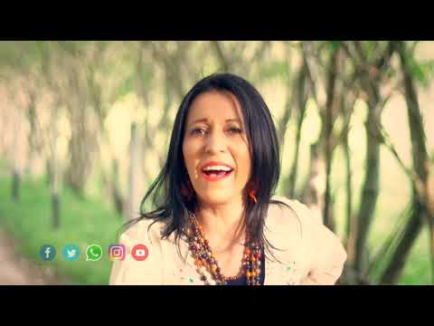 CECY NARVAEZ  - EL TRANSPORTE