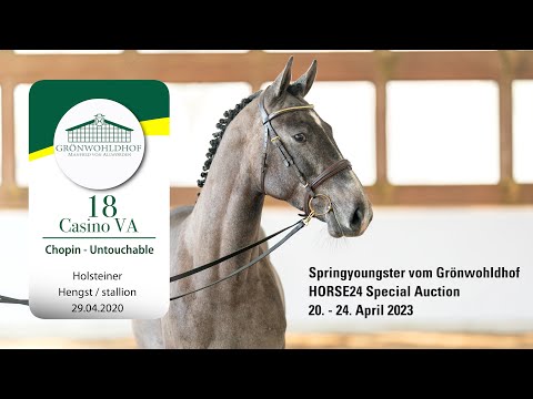 Springyoungster Auktion Lot 18 Casino VA Hengst v. Chopin -  Untouchable