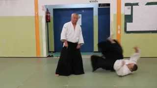 Aikido and kicks. By Fukakusa Motohiro Shihan
