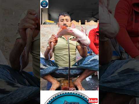 Amazing Great Delicious Pangasius Fish Cutting Techniques | Fish Cutting Skills #wfc #shorts #asmr