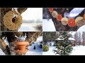 4 Ideas for Feeding Birds in the Winter ❄️