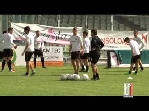 Speranze promozione nelle mani di Micale, intanto il Foggia Calcio sogna la coppa