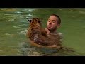 Tiger Cubs Swimming For The First Time | Tigers About The House | BBC Earth