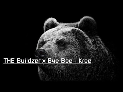The Buildzer x Bye Bae  - Kree