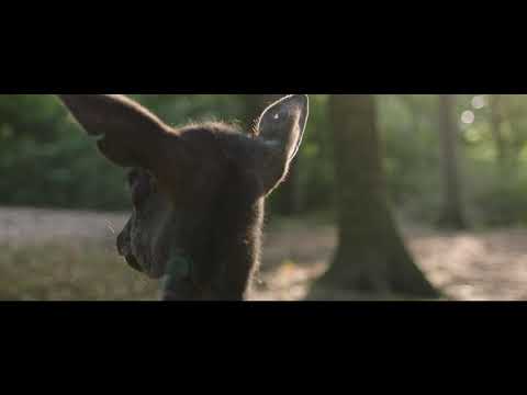 Das Paradies vor der Haustür