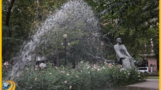 Կոնսերվատորիայի պուրակը չի խնամվում. ծառերը չորանում են, տարածքը վերածվում է աղբավայրի