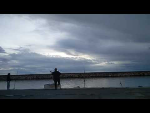 Singing fisherman at Almerimar.