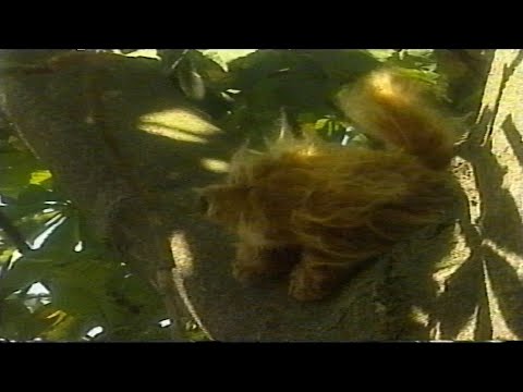 Tots TV: Furryboo (VHS Capture)