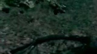 Tocotronic - This boy is tocotronic