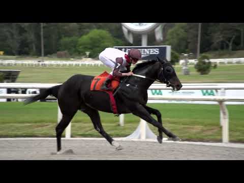 221015 c02 GRAND LOUIS