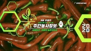 [ 주간농사정보 ] 8월 넷째주