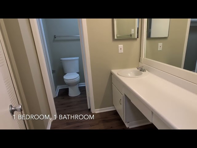 Video 1