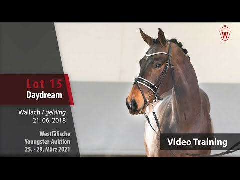 Westf.Youngster-Auktion 25.-29. März Trainingsvideo Lot 15 Daydream v. Dreamline-Spirit of Westfalia
