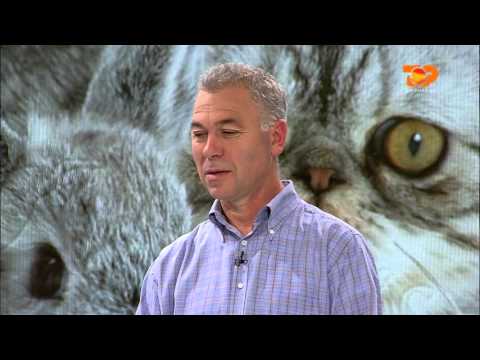 Ne Shtepine Tone, 1 Prill, 2016, Pjesa 1 - Top Channel Albania - Entertainment Show