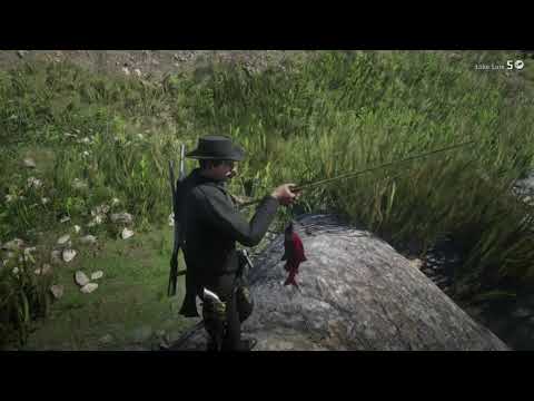Sockeye Salmon Location - Red Dead Online (for fast and easy catch)
