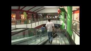 Centro Comercial Las Rosas