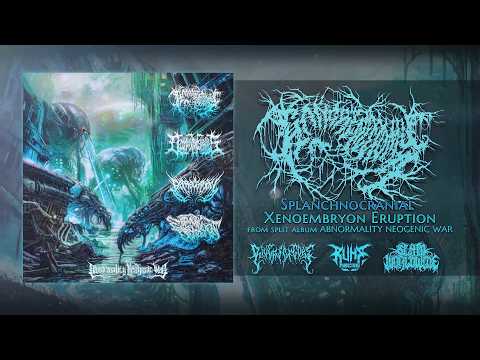 GANGRENECTOMY/DECOMPOSITION OF ENTRAILS/DEPRECATION/EMBRYONIC DEFILEMENT [SPLIT STREAM](2026)SW EXCL