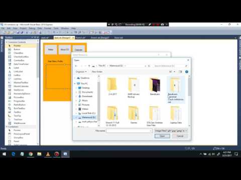 How to Make OS in visual basic 2010 express