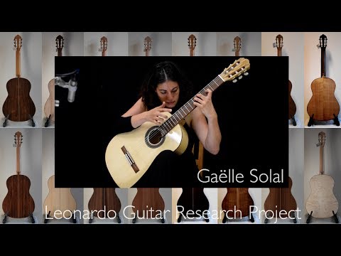 G. Solal, 16 guitars made from different woods / Perceive the differences