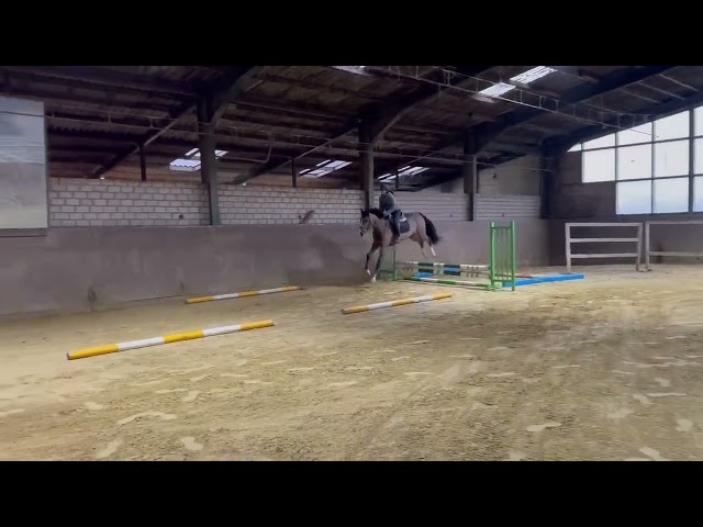Trainings movie riding and  jumping Phantasma RF.