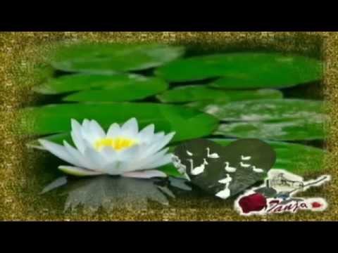 Javier Rodríguez - Llenando de Amor