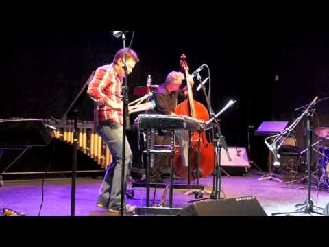 Florian Bellecourt Trio - Tamarin lion (Mike Mainieri)