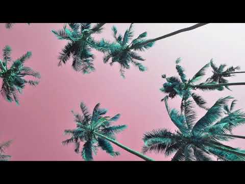 Bonez MC & RAF Camora X Dardan X Jazeek Type Beat - Tropical Summer Hip Hop (Sunshine 104 BPM)