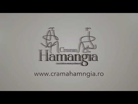 Pentru ganditorul modern