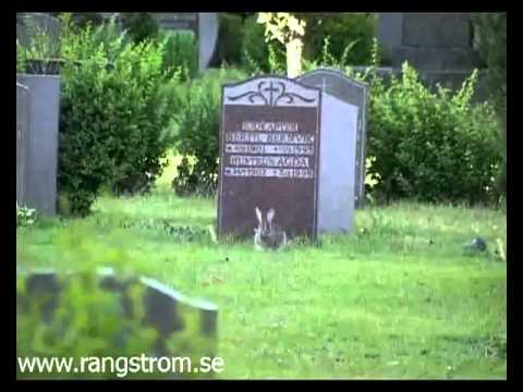 Edward G. Rangström - Tiden så hastigt  försvinner