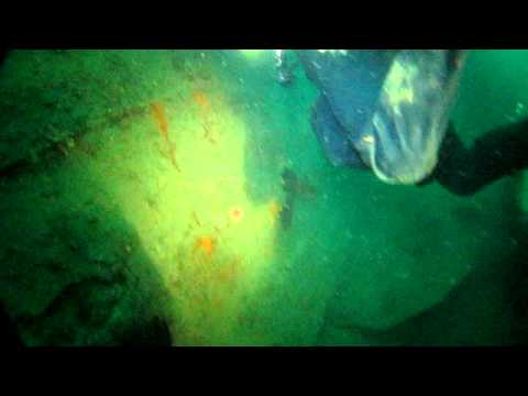 SMS Markgraf - June 2011