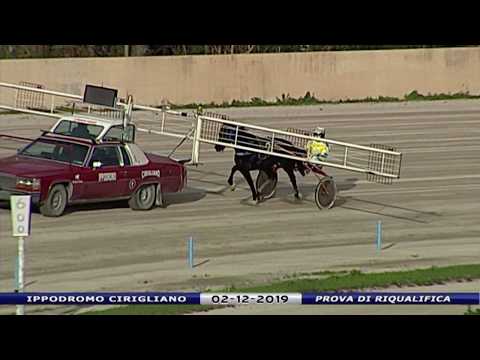 Aversa trotto 2 Dicembre 2019 - Prova di riqualifica
