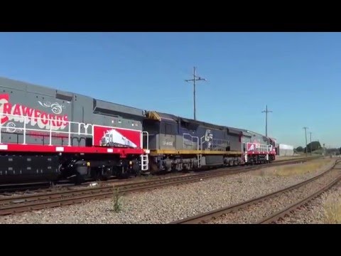 PHC002+PHC001 TRIAL.