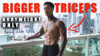 Bigger Triceps With Body Weight Only | Home Workout