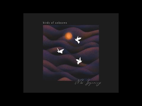 birds of unknown - New Beginnings (Official Visualizer)