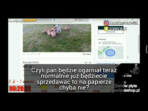 ŻALUZJA SHOTY | KRÓTKI FILM :/