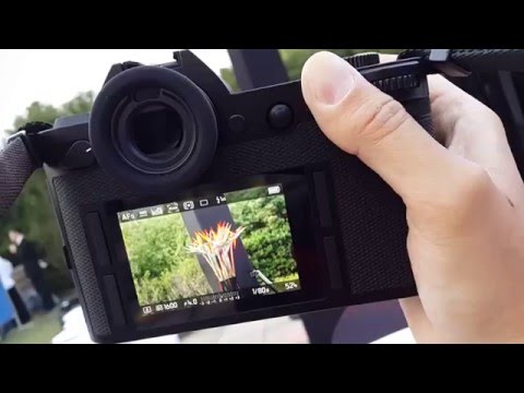 Leica SL（Typ601）Auto Focus Test