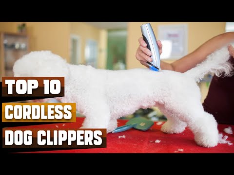 Best Cordless Dog Clipper In 2023 - Top 10 Cordless...