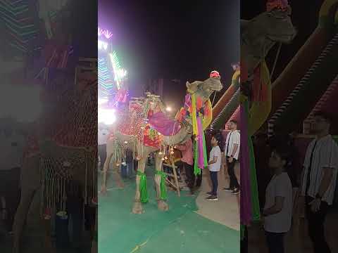 Enjoy some moment #ncr #ramleela #shorts #song