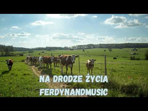 FerdynandMusic - Na Drodze Życia 