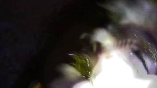 White Hills - Dead (Official Music Video)