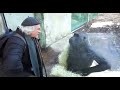 Guy Talking With Monkey