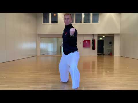 Graduerings pensum 1 kyu - Kihon JKA