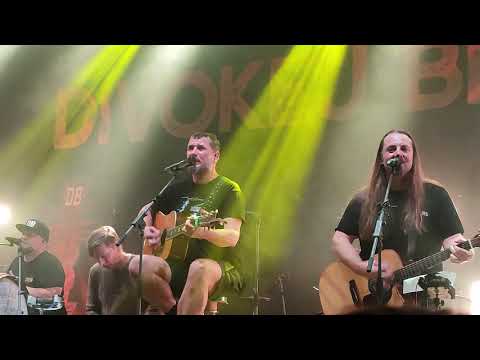 Divokej Bill: Dávno - akusticky (Brno, 23. 11. 2024)