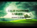 Calm Humming Nasheed [Slowed & Reverb] | Best Background Nasheed | Lofi Nasheed with Rain